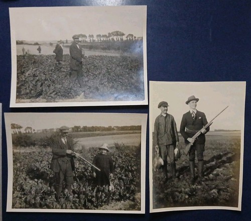 Belgique 1924 chasse au - 1924,
